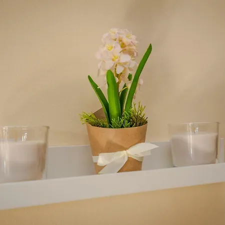 Cconforthotels Dolci Emozioni 3* בארי